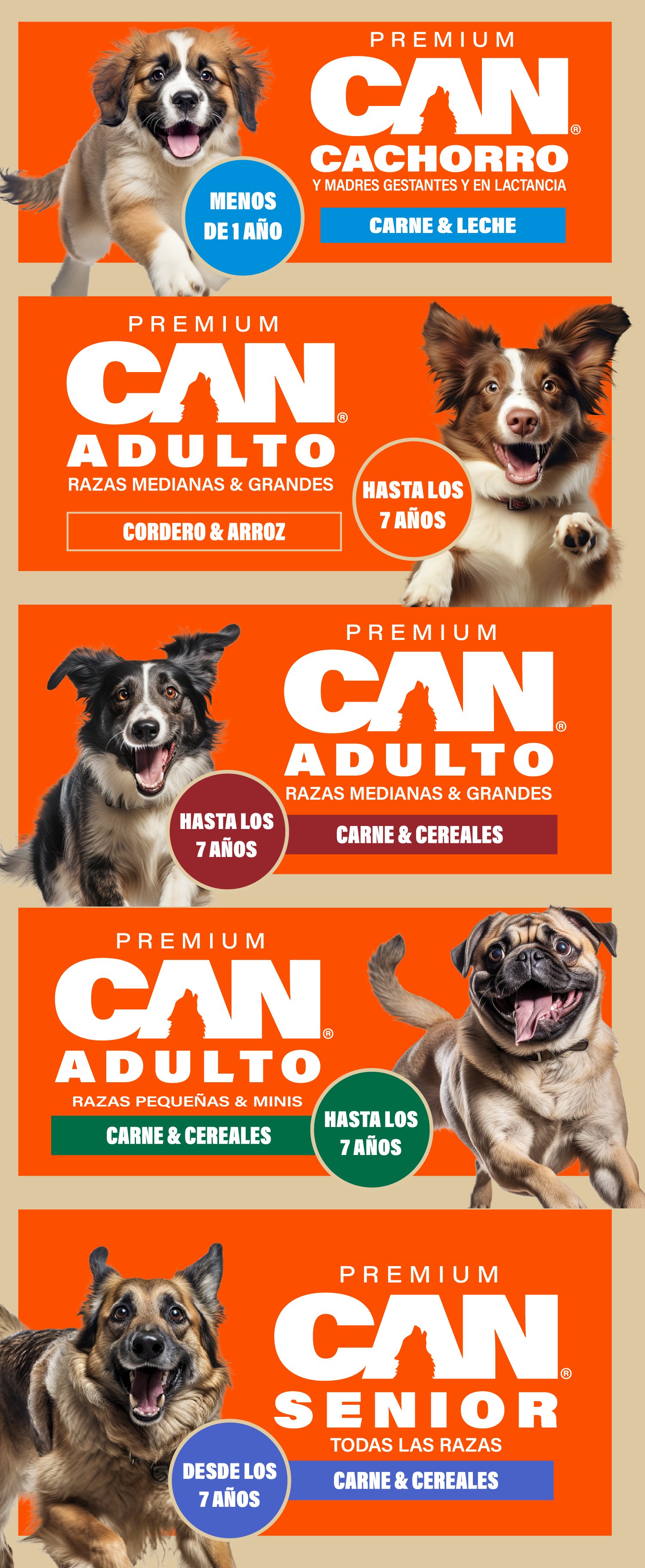 Pop-ups de punto de venta, uno por etapa, cada uno con su color.