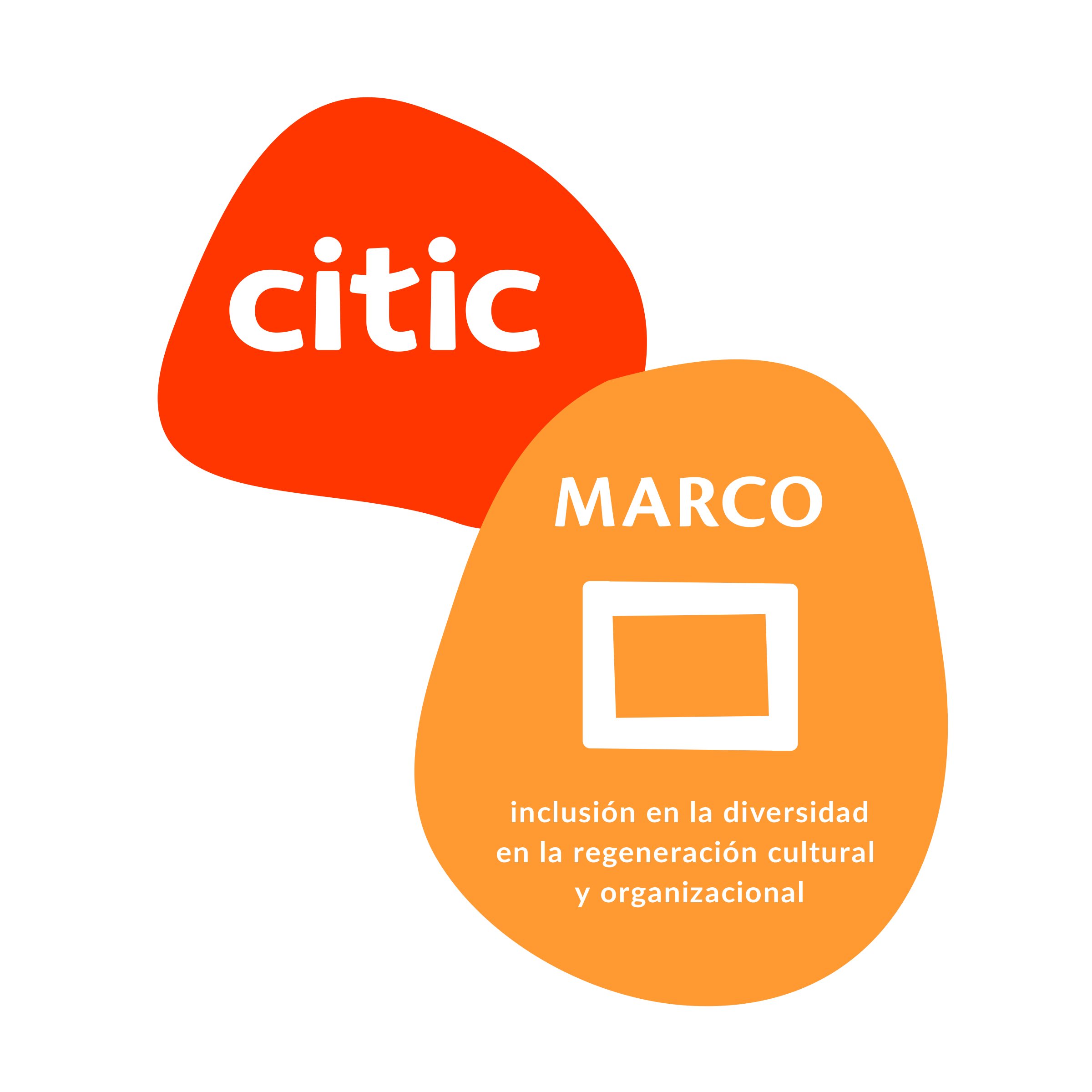Ícono de la capa marco: inclusión en la diversidad en la regeneración cultural y organizacional.