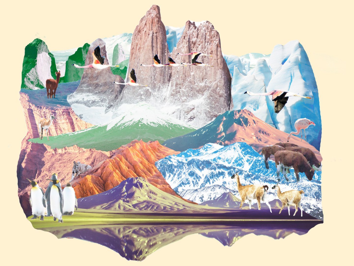Collage fotográfico: Torres del Paine, flamencos, pingüinos, guanacos y montañas.