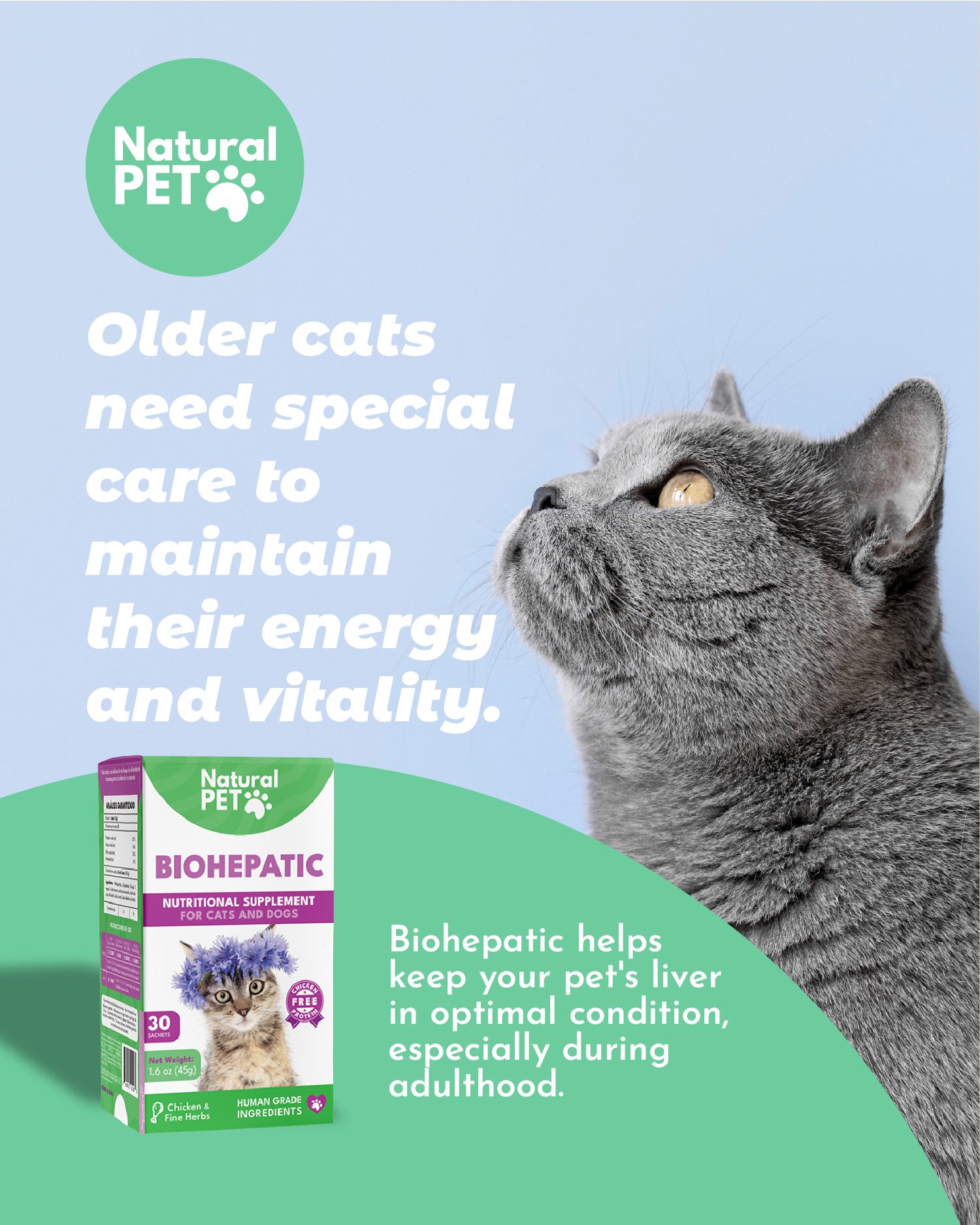 Post de Natural Pet US para Biohepatic: gato gris sobre celeste.