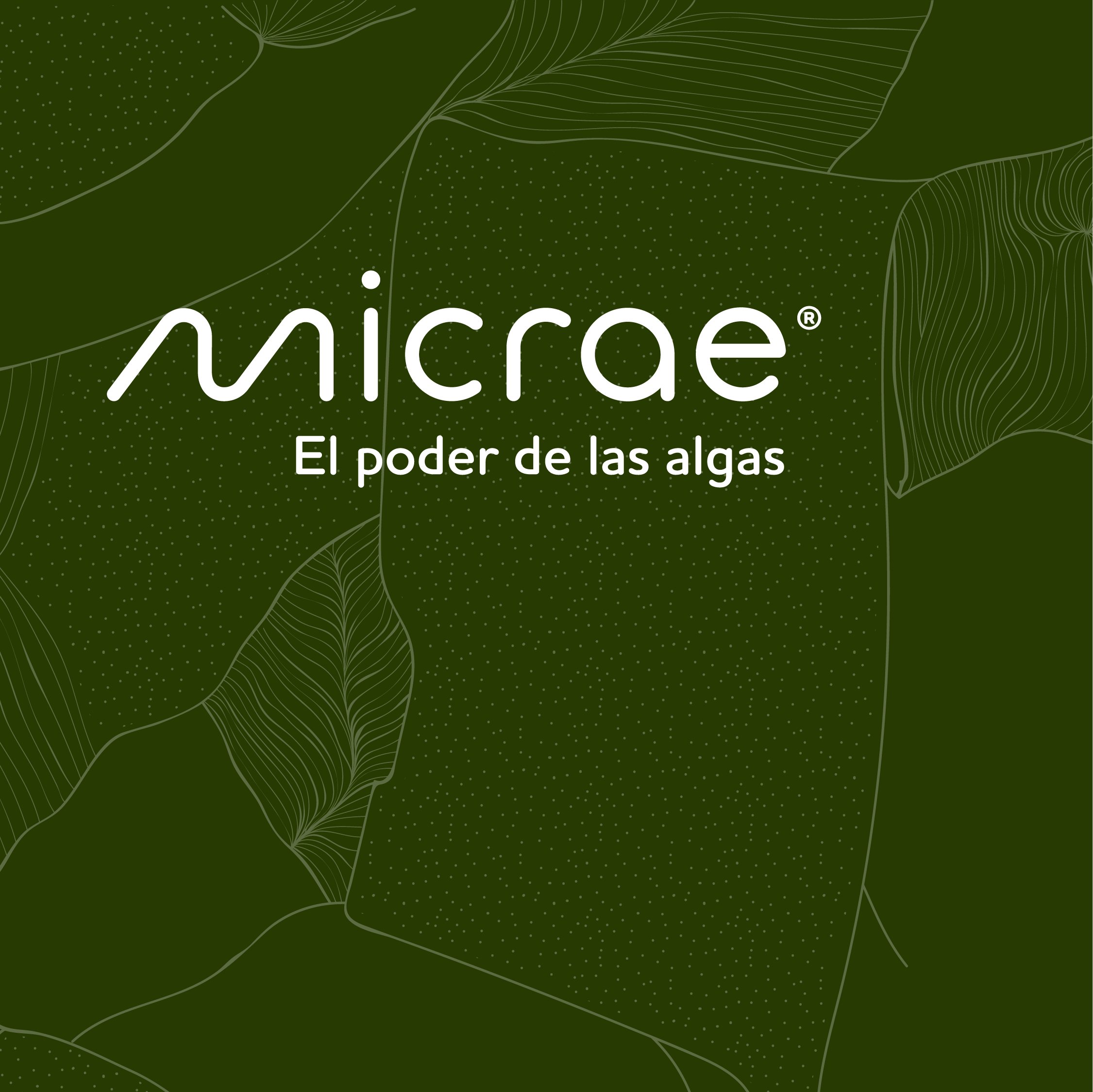 Logotipo Micrae en blanco con la frase «El poder de las algas» sobre verde oscuro.