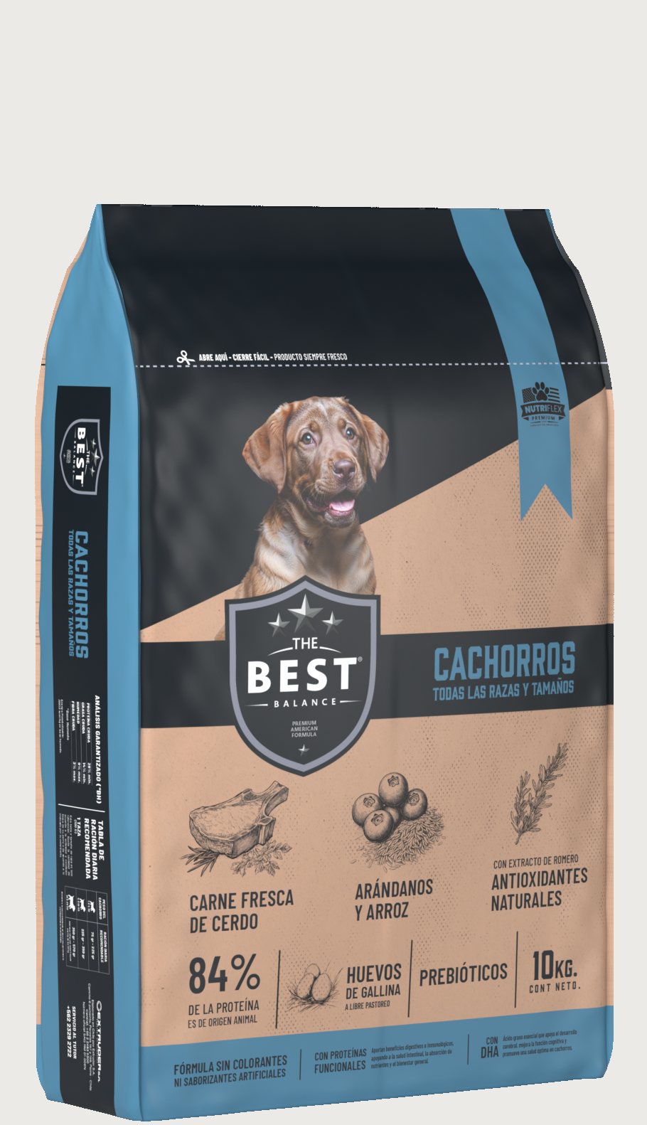 Render 3D en tres cuartos del envase The Best Cachorros, 10 kg.