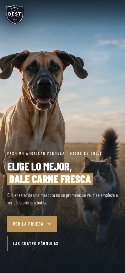Portada del sitio The Best en teléfono, con un encuadre propio del perro y el gato.
