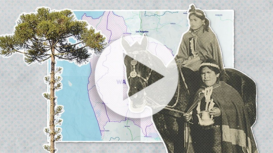 Miniatura del capítulo 1, «La tierra que pisamos».
