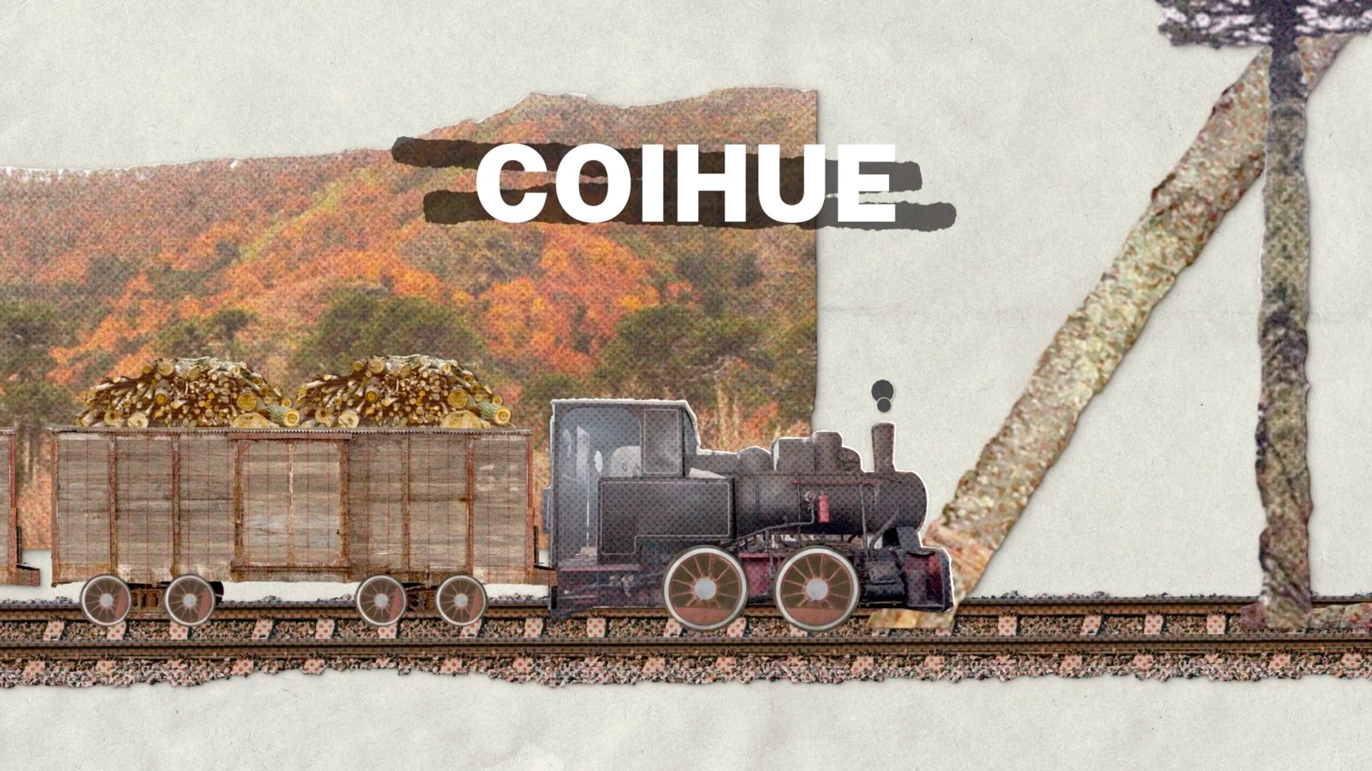 Escena: un tren de época con troncos frente a un bosque de coihues.