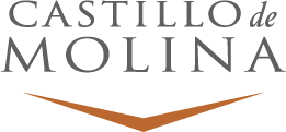 Castillo de Molina